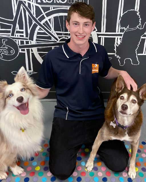 K9to5 staff