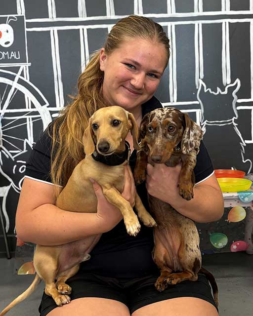 K9to5 staff