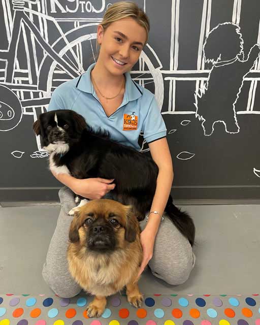 K9to5 staff