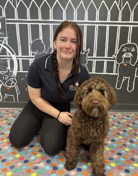 K9to5 staff