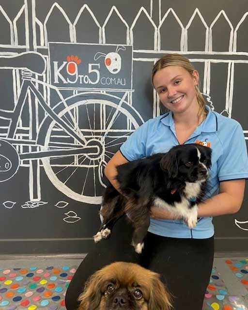K9to5 staff