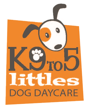 K9to5 logo