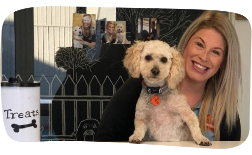 Dog day care