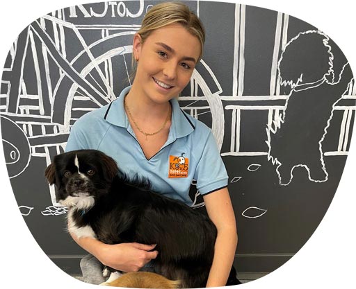 K9to5 staff